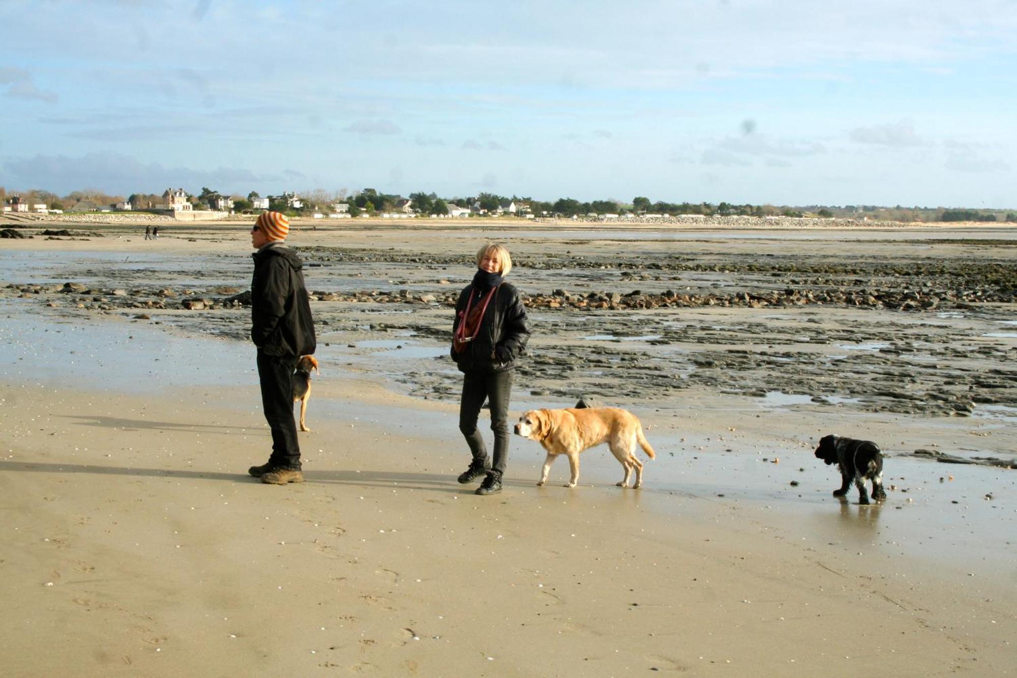 Decouverte D'Un Haras Proche Du Mont St Michel Hambye Exterior foto